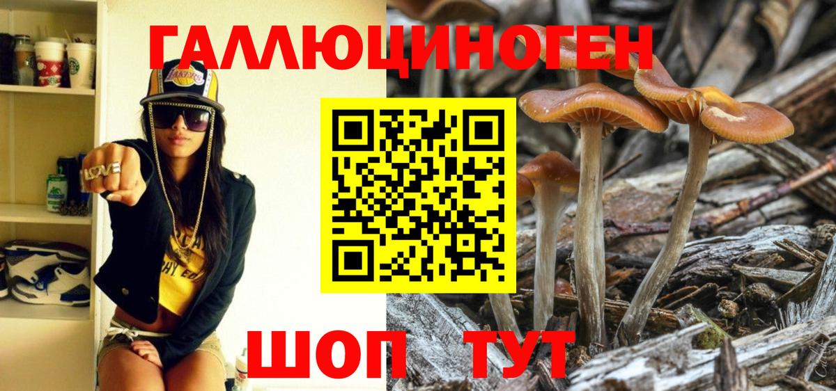 Псилоцибиновые грибы Psilocybine cubensis  Вход с VPN  что такое   Еманжелинск 